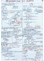 Respiration In Plants (1).pdf